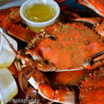 Charlotte County 2011-151-Edit Steamed Blue Crab