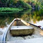 Wekiva 11-2011-8 Peaceful paddle near Wekiwa Springs, Fla.